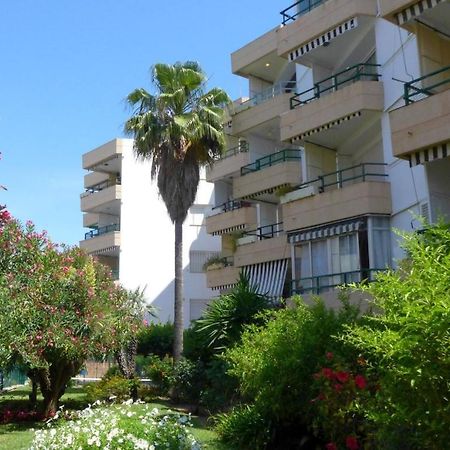 Apartamentos Colon 萨洛 外观 照片