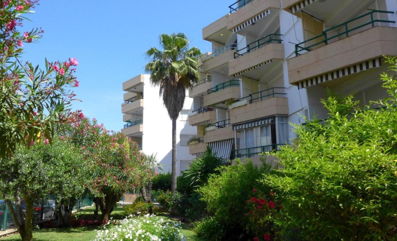 Apartamentos Colon 萨洛 外观 照片