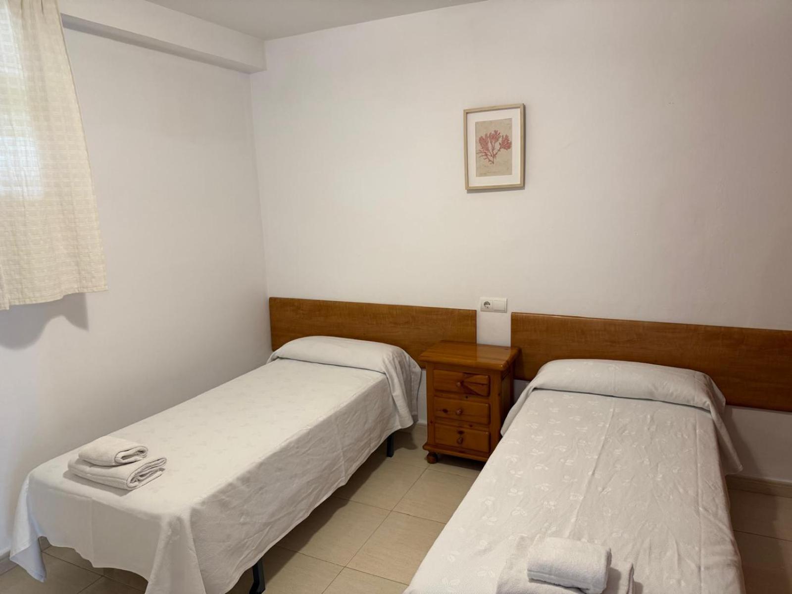 Apartamentos Colon 萨洛 外观 照片
